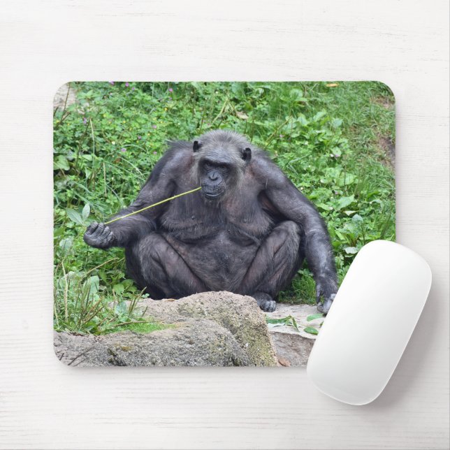 Tapis De Souris Chimpanzé mangeant de l'herbe (Avec souris)