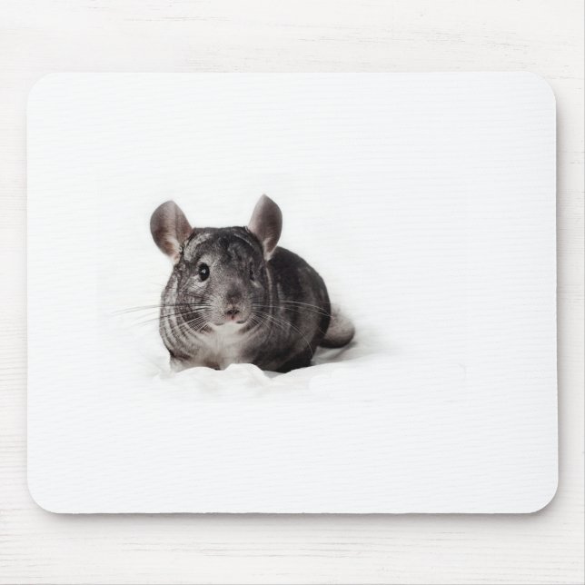 Tapis De Souris Chinchilla gris mignon dans la couverture (Devant)