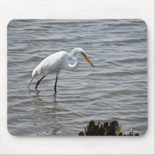 Tapis De Souris Chincoteague National Wildlife Great Heron Egret