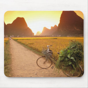 Tapis De Souris Chine, Guangxi. Yangzhou, Bicyclette à la campagne