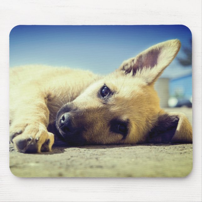 Tapis De Souris Chiot (Devant)
