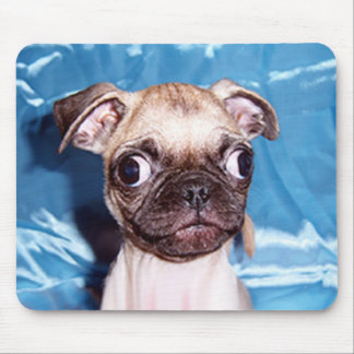 Tapis De Souris Chiot adorable Mousepad de carlin