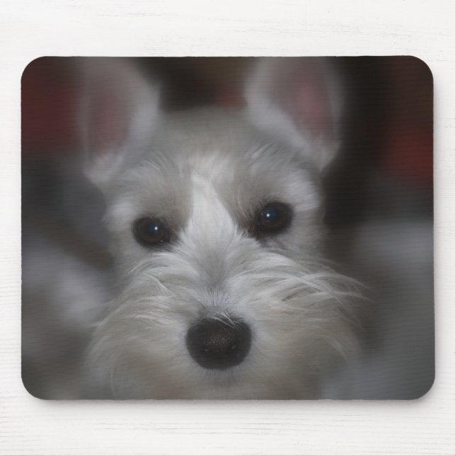 Tapis De Souris Chiot blanc Schnauzer à visage doux (Devant)