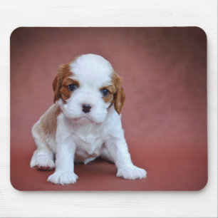 Tapis De Souris Chiot Cavalier King Charles Spaniel