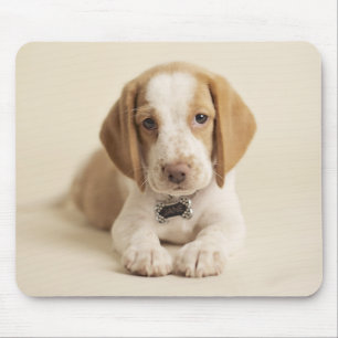 Tapis De Souris Chiot de beagle