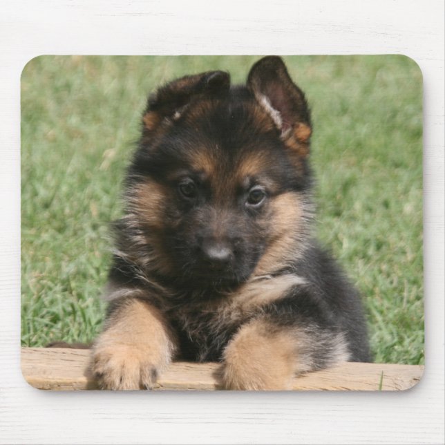 Tapis De Souris Chiot de berger allemand (Devant)