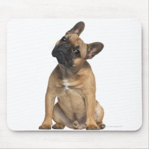 Tapis De Souris Chiot de bouledogue français (7 mois)