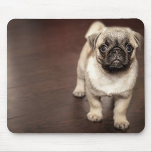 Tapis De Souris Chiot de carlin