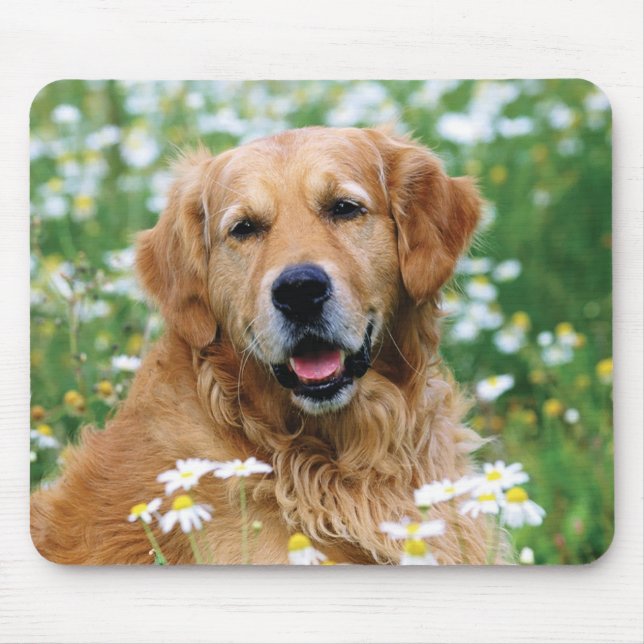 Tapis De Souris Chiot de golden retriever (Devant)