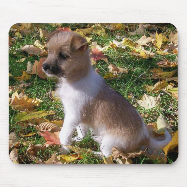 Tapis De Souris Chiot de Jack Russell (Devant)