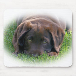 Tapis De Souris Chiot de laboratoire de chocolat