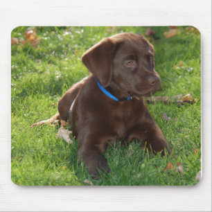 Tapis De Souris Chiot de laboratoire de chocolat