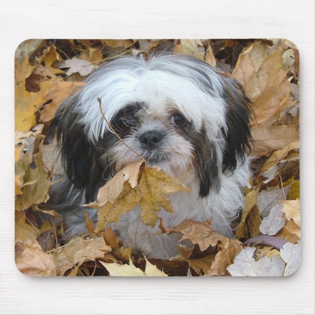Tapis De Souris chiot de shih-tzu (Devant)