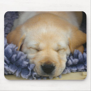Tapis De Souris Chiot de sommeil