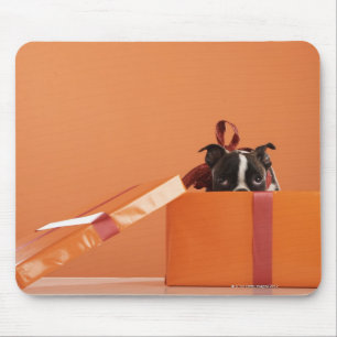 Tapis De Souris Chiot de terrier de Boston dans la boîte-cadeau