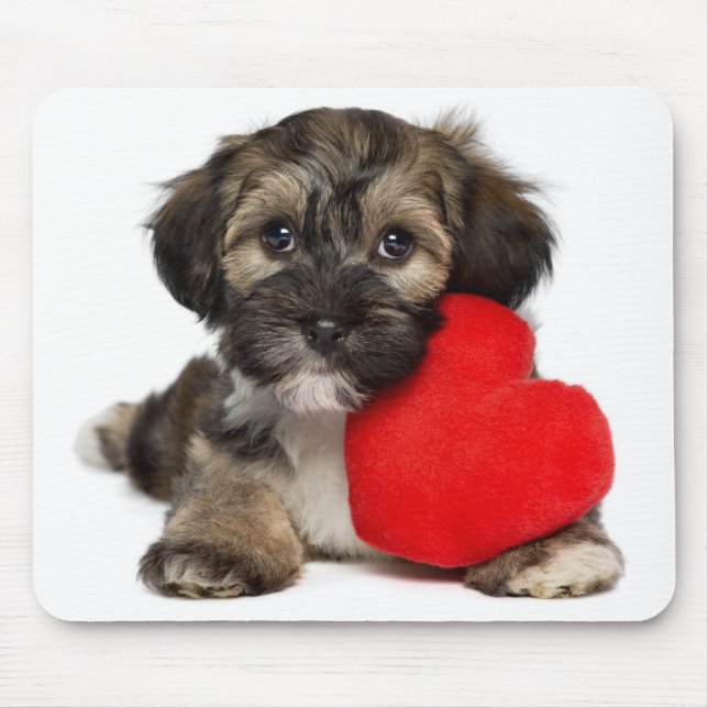 Tapis De Souris Chiot de Valentine Havanese d'amant (Devant)