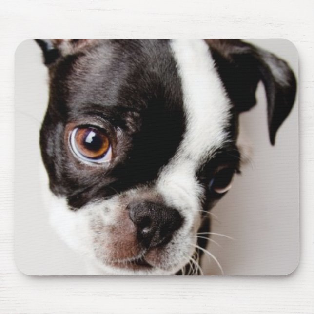 Tapis De Souris Chiot d'Edison Boston Terrier (Devant)