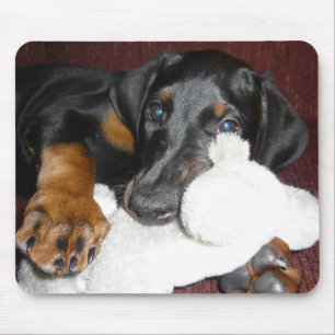 Tapis de souris chiot Doberman Pinscher mignon