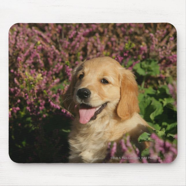 Tapis De Souris Chiot d'or de Retreiver (Devant)
