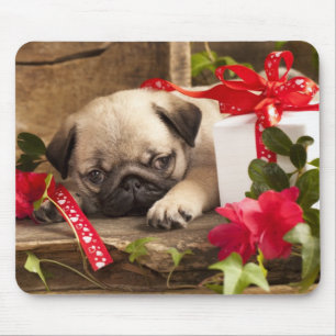 Tapis De Souris Chiot et boîte-cadeau de carlin