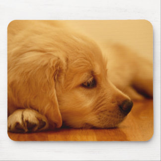 Tapis De Souris Chiot Golden Retriever