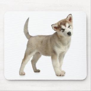 Tapis de souris chiot Malamute d'Alaska
