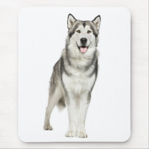 Tapis de souris chiot Malamute d'Alaska