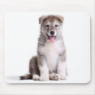 Tapis de souris chiot Malamute d'Alaska
