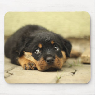 Tapis De Souris Chiot Mousepad