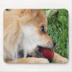 Tapis De Souris Chiot Poméranien avec balle