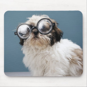 Tapis De Souris Chiot portant les lunettes épaisses