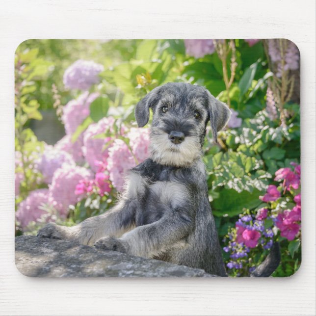 Tapis De Souris Chiot Schnauzer standard dans un jardin fleuri (Devant)