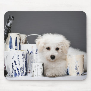 Tapis De Souris Chiot se reposant parmi des bidons de peinture