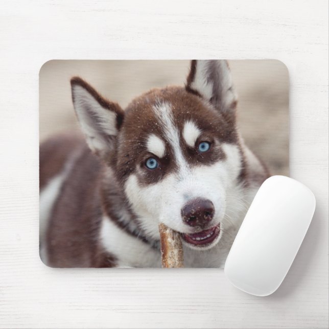 Tapis De Souris Chiot sibérien Husky à la plage (Avec souris)