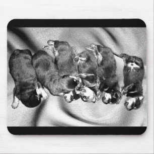 Tapis De Souris chiots à tête blanche