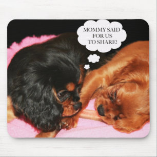 Tapis De Souris Chiots Cavalier King Charles Spaniels