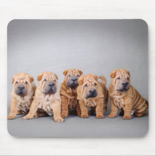 Tapis De Souris Chiots chinois Shar Pei