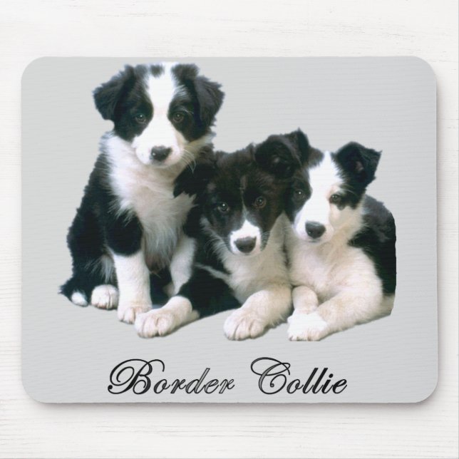 Tapis De Souris Chiots de border collie (Devant)