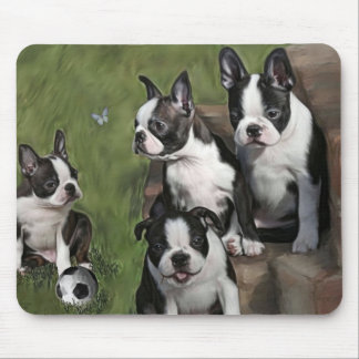 Tapis De Souris Chiots de Boston Terrier