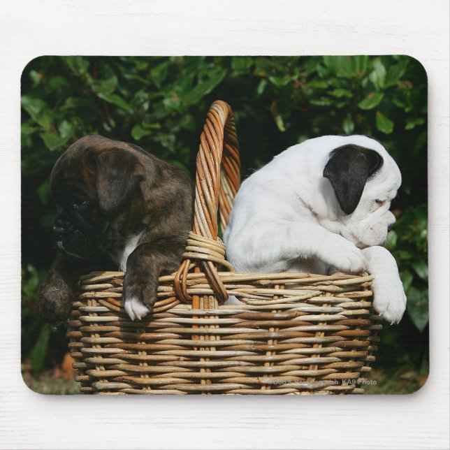 Tapis De Souris Chiots de boxeur dans le panier (Devant)