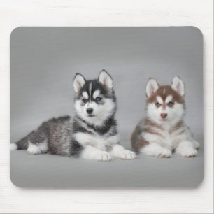 Tapis De Souris Chiots de chien de traîneau sibérien