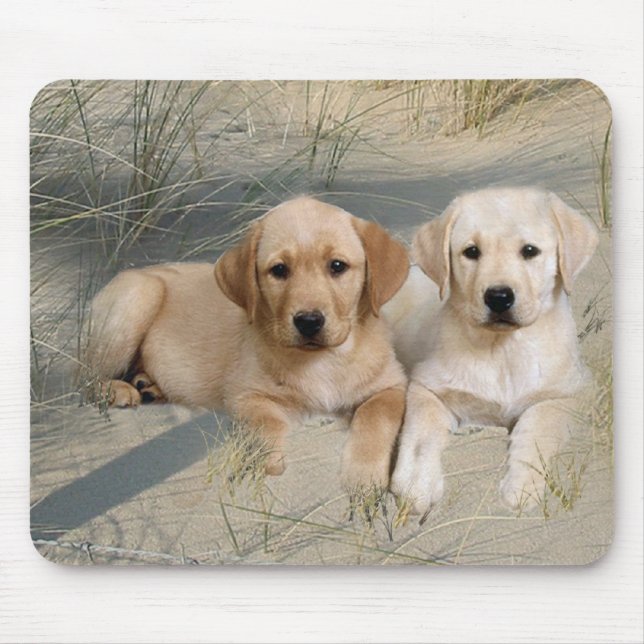 Tapis De Souris Chiots de labrador retriever Mousepad (Devant)