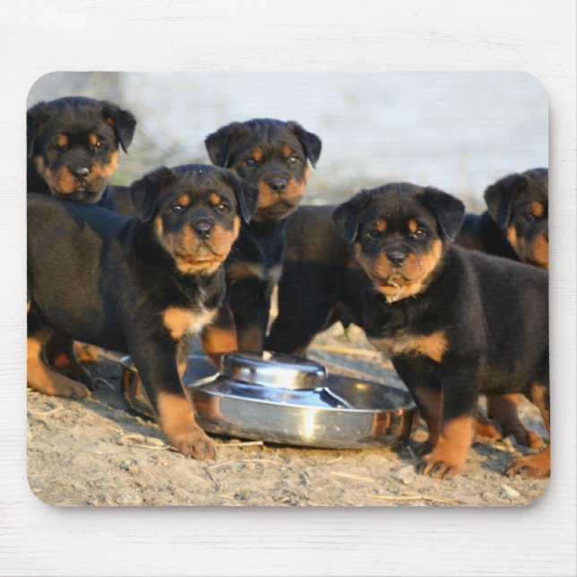 Tapis De Souris chiots de rottweiler (Devant)