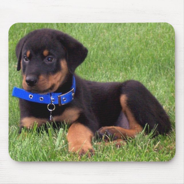 Tapis De Souris chiots de rottweiler (Devant)