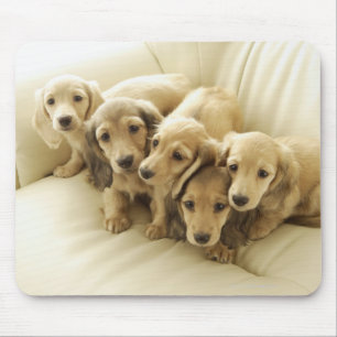 Tapis De Souris Chiots de saucisse