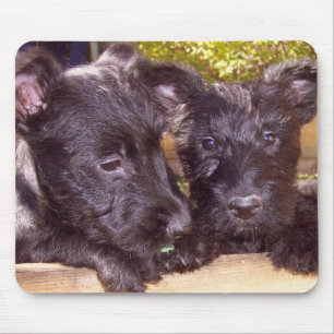 Tapis De Souris Chiots de Scottie