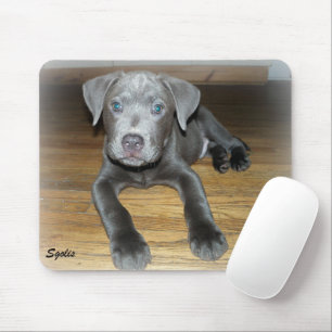 Tapis De Souris Chiots Pitbull / Chien Mignon 