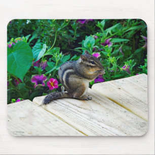 Tapis De Souris Chipmunk