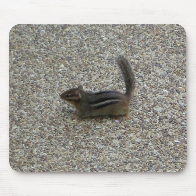 Tapis De Souris Chipmunk (Devant)