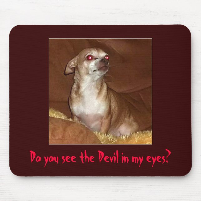 Tapis De Souris Chiwawa mauvais Mousepad (Devant)